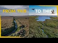 Download Lagu How we are reviving an Ancient Icelandic Wetland