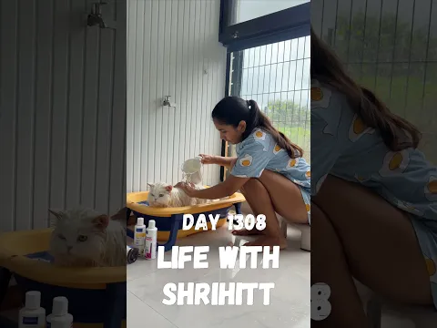 LWS day 1308/10000 #shrihitt #minivlog