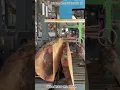 Download Lagu Revolutionizing Woodwork: Unleash the Power of Our Wood Saw Machine!#woodsawmill