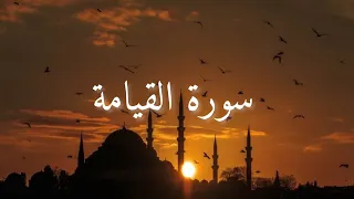 سورة القيامة كاملة مكتوبة بصوت ماهر المعيقلي Surah Al Qyamah Mahir Al Muaiqly 