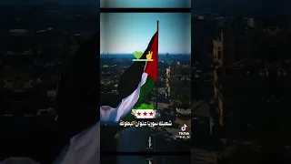 وقف ياتاريخ وشوف الرجولة 