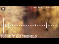 Download Lagu Kevin Macleod ~ Bummin on Tremelo [ The Music Archive ]