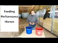 What I feed my performance horses and why