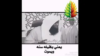 افديك بروحي يا رسول الله قصه مؤثره لرسول الله صلا الله عليه وسلم 