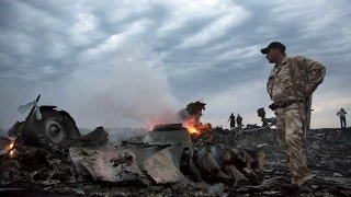 Malaysia Airlines Crash What Happened Mashable