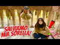 Download Lagu Hanno RAPITO MIA SORELLA 🎬 2 puntata