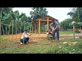 Lagu CUONG \u0026 LAN quickly constructed a fence using cassava stems before the upcoming Lunar New Year.