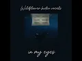 Billie Eilish wildflower hiden back vocals💙