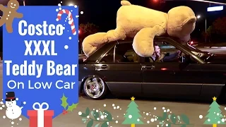 Giant Costco Teddy Bear on Low Car