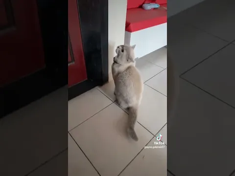 çok güzel bir hasar görürseniz ürünü