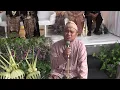 Download Lagu Qiroah Pernikahan Suaranya Termerdu Se-Indonesia? Part 7