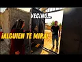 Download Lagu ¿Que está pasando en casa de Tayyaba?