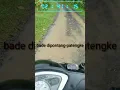 Download Lagu story aku cah bakoh