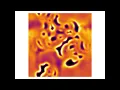 Reaction-Diffusion Model Gray-Scott