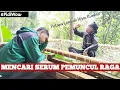 Download Lagu Mencari Ramuan Pemuncul Raga di Lembah Hijau Rumbia