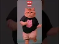Download Lagu Kucing montok goyang imut