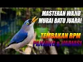 Lagu BREN KASAR \u0026 TEMBAKAN TAJAM!! RAMBATAN PARUH MERAH RPM GACOR FULL MATERI PANJANG BUAT MASTERAN MURAI