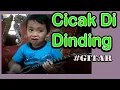 Download Lagu Lucunya Saat Menghafal Lagu Cicak Cicak Di Dinding