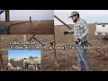 fencing the ranch for the sheep