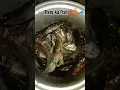 Download Lagu River ka Fish 🦞🦐#youtubeshorts #viralvideo #newsong #newvideo..