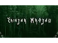 Download Lagu DZIVIA \
