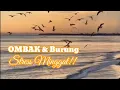 Download Lagu TERAPI STRESS !! Suara Ombak dan Burung Camar