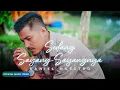 Download Lagu Daniel Maestro - Sedang Sayang Sayangnya (Official Music Video)