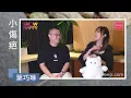 葉巧琳《小傷疤》親自填詞記念離世愛貓    克服傷痛總有日會再養貓