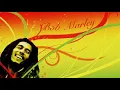 Don't Worry U Yeah ~ Tony Q Rastafara