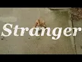 Rabbitology \u0026 Small Fools - Stranger (Official Visualizer)