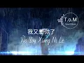 Lagu Wo You Xiang Ni Le 我又想你了 Lyrics Pinyin - Liu Yi Chen 刘奕辰 ( MANDARIN SONG )