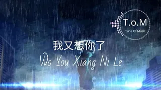 wo you xiang ni le lyrics pinyin liu yi chen mandarin song 