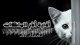 أغنية أخر الملكات  أقوى أغنية حزينة       دندنها