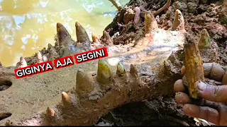 GIGINYA  AJA  SEBESAR  INI