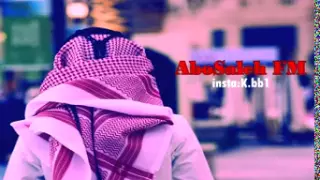 شيلة دامني جيت الهدا والحويه 