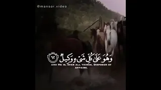 اجمل شعر بدوي عن الأخ مع الخيل العربي الاصيل 