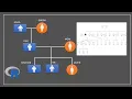 Create pedigree chart family tree with other information