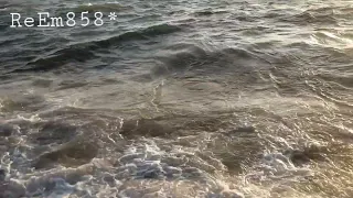 قادرين يا دنيا   حالة واتس دندنها
