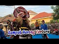 Download Lagu RAMPOKAN SINGO BARONG TERBARU - Jaranan ROGO SAMBOYO PUTRO | Parerejo Kediri