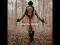 Norwegian Wood - Victor Wooten