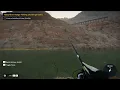 Ruby River Range Fishing Challenge Gold 1 Catch a Gold Rank Green Sunfish