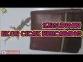 Download Lagu MISTERI|MITOS| KEGUNAAN|  EKOR CICAK BERCABANG DUA