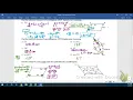 Geometry Chapter 7 Quiz Review