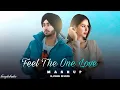 Lagu Feel The One Love - Mashup (Slowed Reverb)| Shubh ft.Akhil| Harrykahanhai | Punjabi Love Mashup#lofi