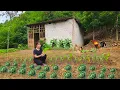 Download Lagu Infertile woman ignores her illness and does everything to build life in forest |@lytieuan5