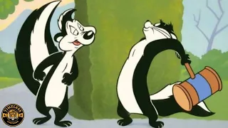 Download Pepe Le Pew Full Cartoon Compilation MP3