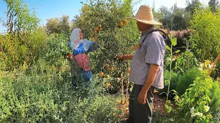 دوزنا نهار زوين في البادية و طيبنا الغدا في الخباز اجواء البادية المغربية 