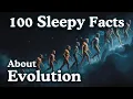 The Most Relaxing Facts About Evolution to Fall Asleep To