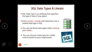 SQL Data Types and Literals lecture 21
