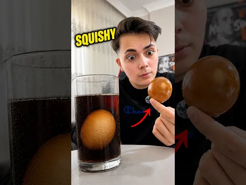 Gerçek Yumurtadan Squishy Olur mu? #shorts